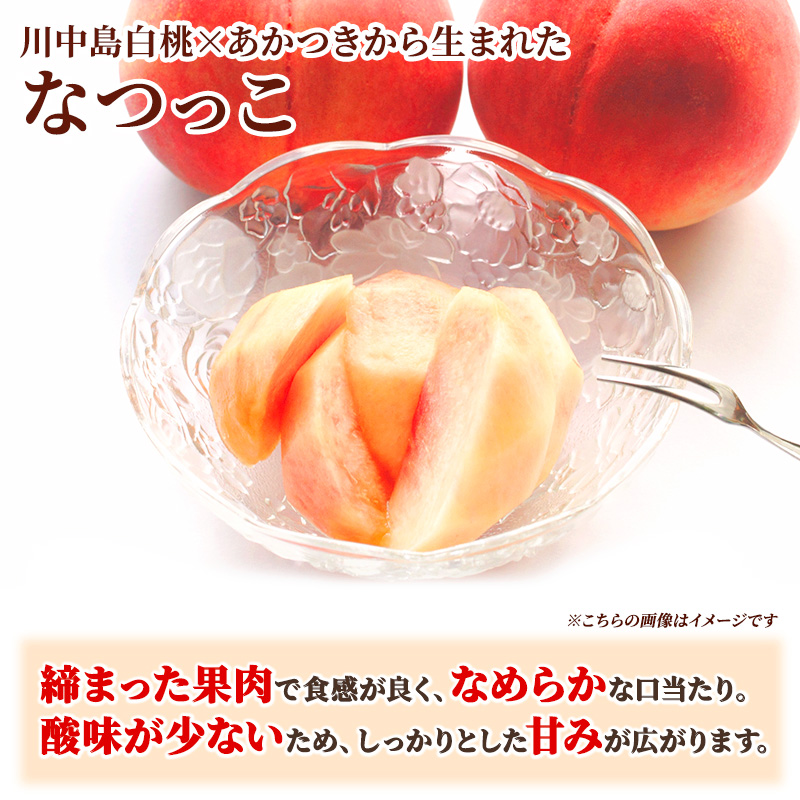 先行予約 2026年発送 浅間水蜜桃 もも なつっこ 秀品 約5kg ふるさと納税  長野県産 小諸市 桃 果物 もも フルーツ モモ 果肉