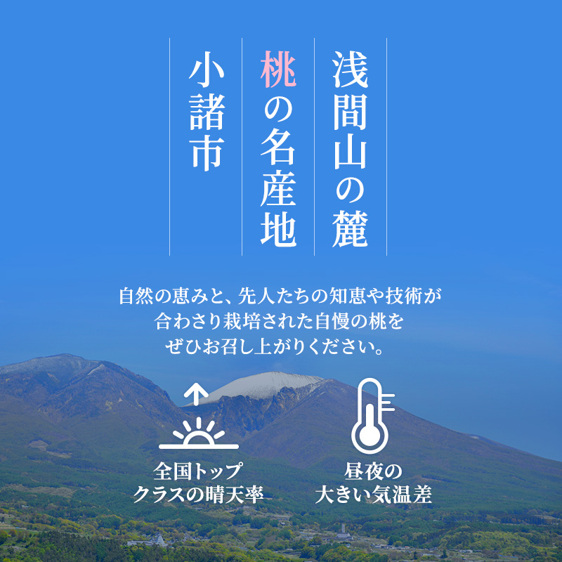 先行予約 2026年発送 浅間水蜜桃 もも なつっこ 秀品 約5kg ふるさと納税  長野県産 小諸市 桃 果物 もも フルーツ モモ 果肉