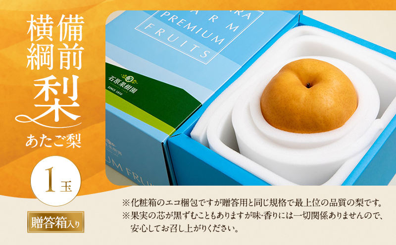 梨 備前横綱梨（あたご梨） 1玉 (1～1.4kg) 贈答箱 【11月下旬～2月中旬頃発送】ナシ なし 岡山県産 国産 フルーツ 果物 ギフト 石原果樹園 