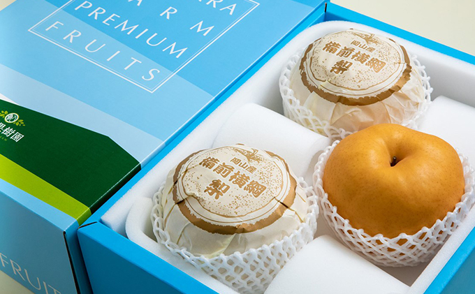 梨 2025年 先行予約 備前横綱梨（あたご梨）3玉（1玉1～1.4kg）贈答箱【11月下旬～12月中旬頃発送】 ナシ なし 岡山県産 国産 フルーツ 果物 ギフト 石原果樹園 