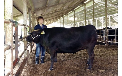 生産牧場指定　料亭こだわりの近江牛A4等級以上　焼肉用　【600ｇ】【DM04W】