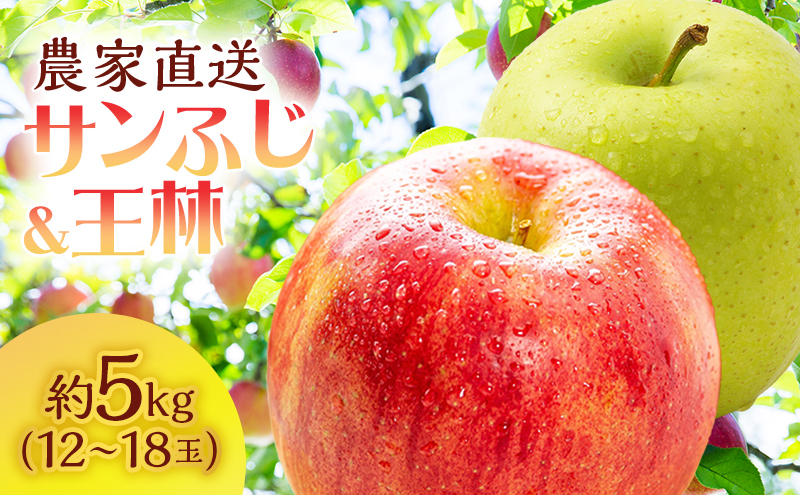 【青森県鰺ヶ沢町】りんご 青森 サンふじ 王林 約 5kg (12〜18玉) リンゴ 詰め合わせ セット サイキチ農園 食べ比べ 青森県 鰺ヶ沢町産 フルーツ 果物 贈答用 贈答 ギフト サンフジ ふじ