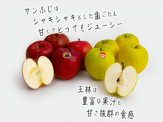 りんご 青森 サンふじ 王林 約 5kg (12～18玉) リンゴ 詰め合わせ セット 青森県 鰺ヶ沢町産 木村りんご園 フルーツ 果物 果物類 白神山地 林檎 サンフジ ふじ ※オンライン決済限定