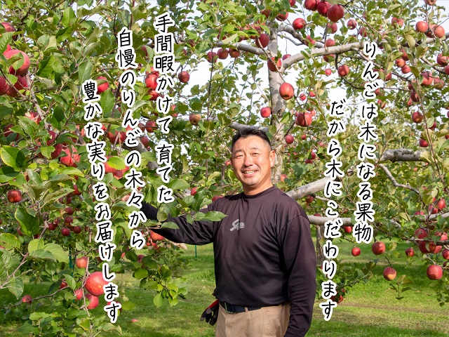 りんご 青森 サンふじ リンゴ 約 5kg (12～18玉) 青森県 鰺ヶ沢町産 木村りんご園 フルーツ 果物 果物類 白神山地 林檎 サンフジ ふじ ※オンライン決済限定