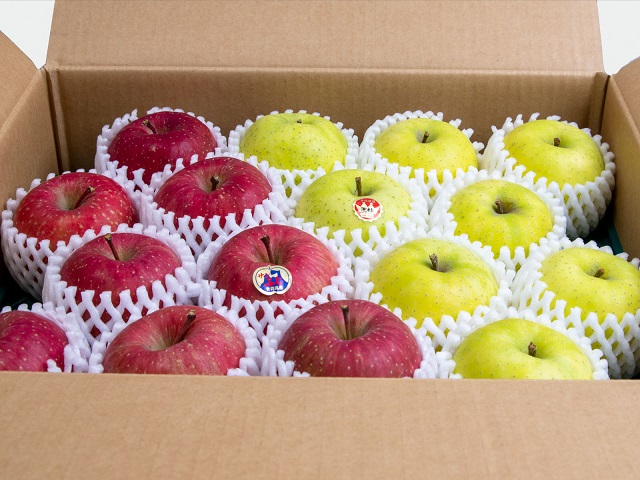 りんご 青森 サンふじ 王林 約 5kg (12～18玉) リンゴ 詰め合わせ セット 青森県 鰺ヶ沢町産 木村りんご園 フルーツ 果物 果物類 白神山地 林檎 サンフジ ふじ ※オンライン決済限定