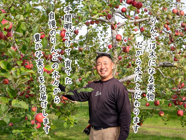 りんご 青森 サンふじ 王林 約 5kg (12～18玉) リンゴ 詰め合わせ セット 青森県 鰺ヶ沢町産 木村りんご園 フルーツ 果物 果物類 白神山地 林檎 サンフジ ふじ ※オンライン決済限定