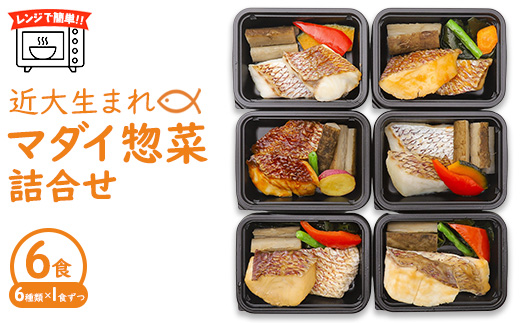 ya̎RlzWŊȒPIߑ吶܂}_Cy؋li6Hj b ^ Ă ϕt Zbg 