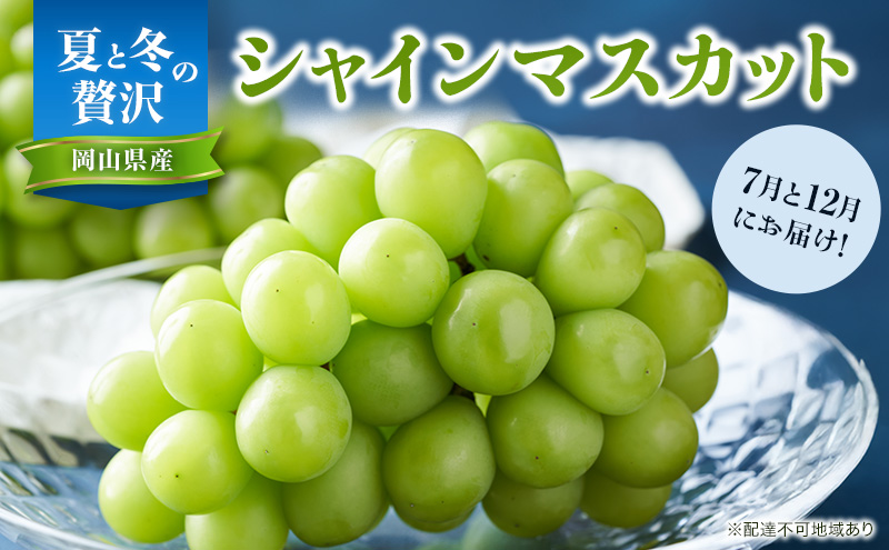 �y���R���������z�y2026�N��s�\��z �Ԃǂ� �ĂƓ~�� �ґ� �V���C���}�X�J�b�g 7����12���ɕ����� ���͂� �I ���� �u�h�E ���R���Y �t���[�c �ʕ� ���ʌ��� ���Ԍ��� ���R ������