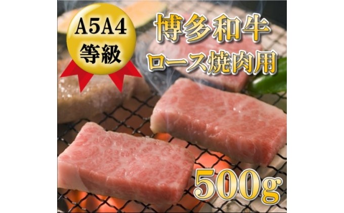 【A5 A4 等級使用】博多和牛 ロース 焼肉用 500g 【配送不可：離島】 お肉 牛肉 バーベキュー 