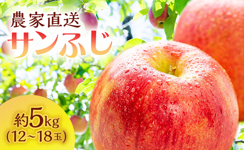 13.減農薬栽培＊青森県産サンふじ16キロ54個入り 特別栽培認証取得 葉とらずふじ 3kg〜10kg 化学肥料不使用 減