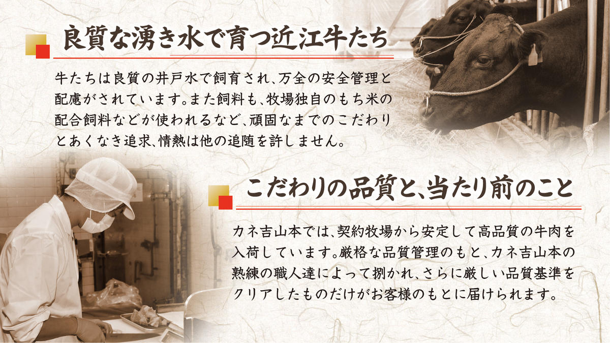 【カネ吉山本】近江牛[吟] ステーキ用 サーロイン【400ｇ（約 200g×2枚）】【Y021W1】