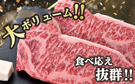 近江牛A5ランクサーロインステーキ【400g】【DG07W】