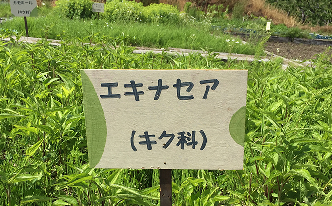 オリジナルハーブティーセット 加工食品 