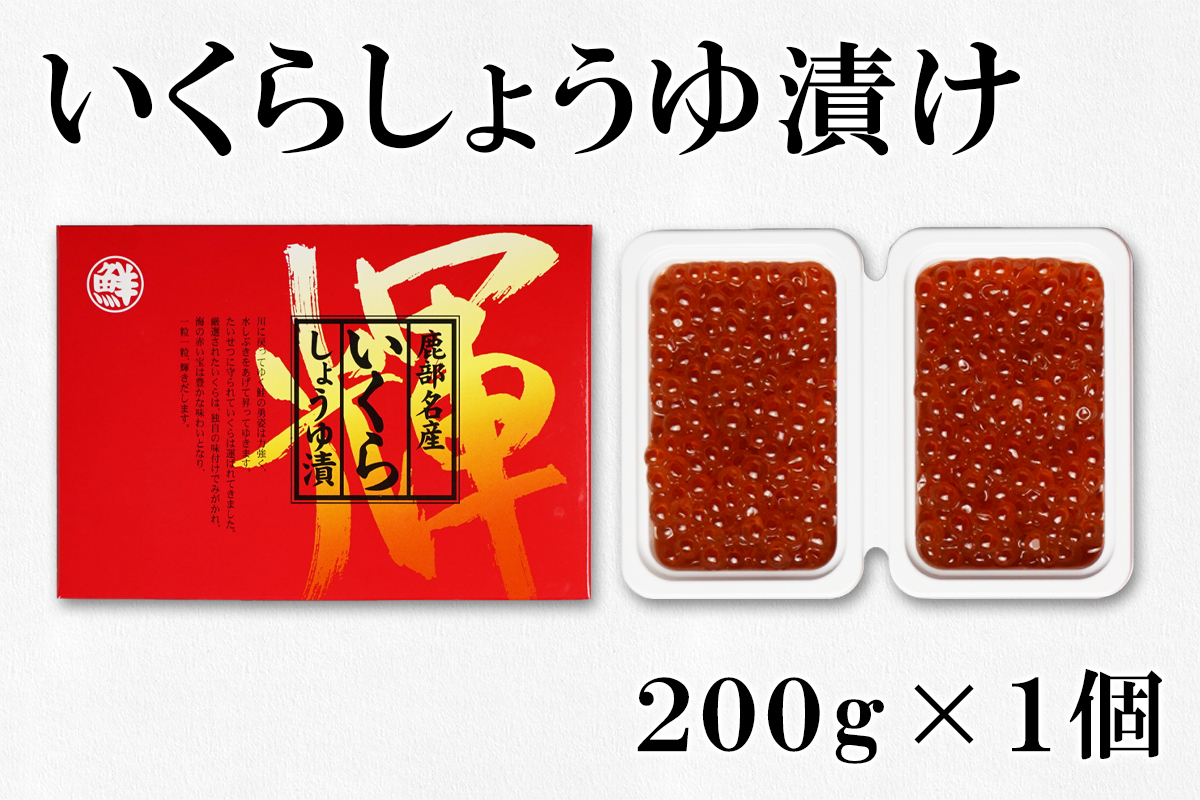 【丸鮮道場水産】 直売店人気上位3点詰合せ（計約700g）