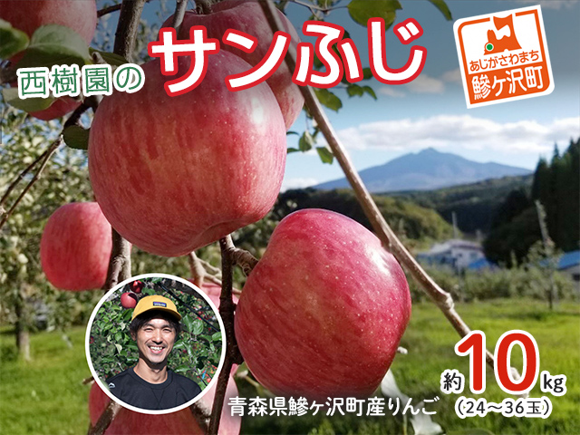 【青森県鰺ヶ沢町】りんご 青森 サンふじ リンゴ 約 10kg (24〜36玉) 青森県 鰺ヶ沢町産 西樹園 フルーツ 果物 果物類 白神山地 林檎 サンフジ ふじ