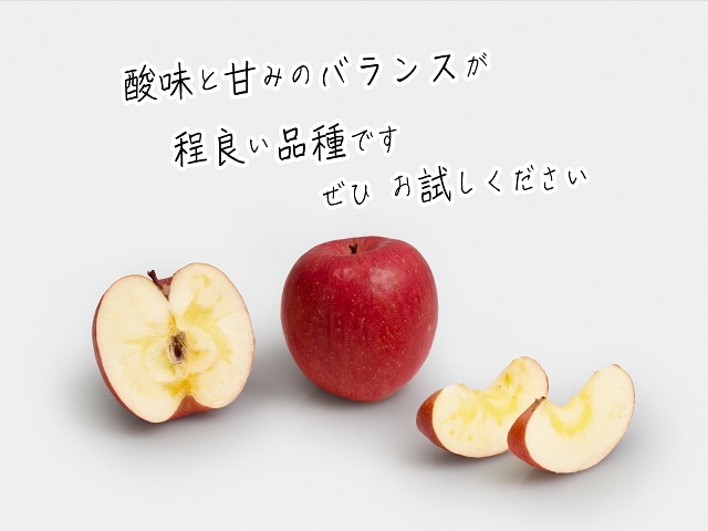 りんご 青森 サンふじ リンゴ 約 10kg (24～36玉) 青森県 鰺ヶ沢町産 西樹園 フルーツ 果物 果物類 白神山地 林檎 サンフジ ふじ 