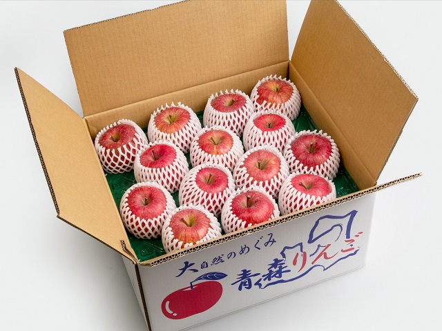 りんご 青森 サンふじ リンゴ 約 10kg (24～36玉) 青森県 鰺ヶ沢町産 西樹園 フルーツ 果物 果物類 白神山地 林檎 サンフジ ふじ 