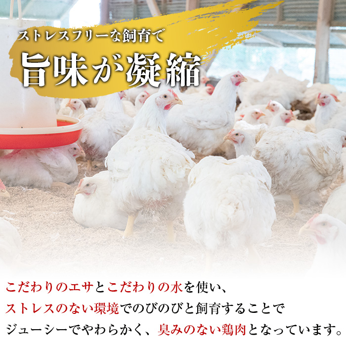 鹿児島県霧島市のふるさと納税 A0-302-C ＜2025年12月発送(12月31日迄に発送)＞三世代続く鶏肉店の鶏刺し(計1kg・200g×5パック)【海江田鶏肉店】霧島市 鹿児島 国産 鳥刺し 鳥肉 鶏肉 モモ ムネ もも肉 むね肉 胸肉 タタキ 刺身 セット 真空パック 醤油付き おつまみ