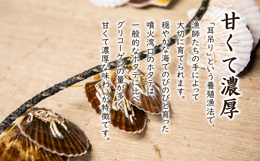 高村商店の ワケあり！ボイルベビーホタテ 3kg （1kg×3袋）加熱用 北海道産 ほたて ホタテ 帆立