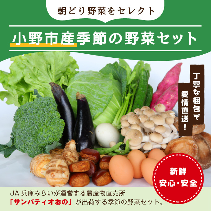 兵庫県小野市のふるさと納税 小野市産季節の野菜セット！ 野菜類 詰合せ