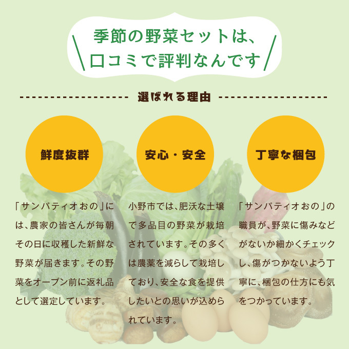 兵庫県小野市のふるさと納税 小野市産季節の野菜セット！ 野菜類 詰合せ