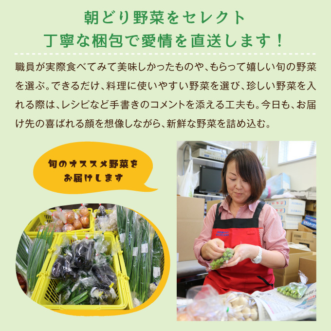 兵庫県小野市のふるさと納税 小野市産季節の野菜セット！ 野菜類 詰合せ