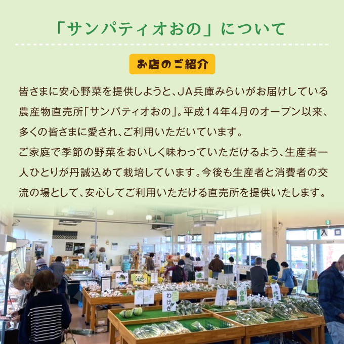 兵庫県小野市のふるさと納税 小野市産季節の野菜セット！ 野菜類 詰合せ