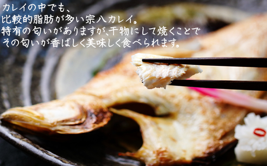 軽石を使った干物(冷凍) 北海道産 宗八カレイ 1.6kg（8尾入り）
