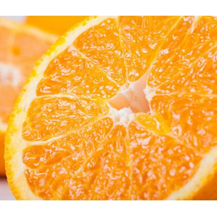 【先行予約】【農家直送】濃厚不知火（ご家庭用）約5kg ※2026年1月下旬～3月下旬頃に順次発送予定 ※北海道・沖縄・離島への配送不可