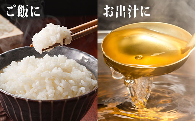 水 定期便 6ヶ月 日本百名山 鳥海山の真純水 2L × 12本 ミネラルウォーター 2リットル 2l 軟水 超軟水 産地直送 スキンケア 美容 健康 お水 天然水 ペットボトル 飲料 湧水 災害 防災 備蓄 備蓄水 ローリングストック 災害対策 備蓄用 定期 6回