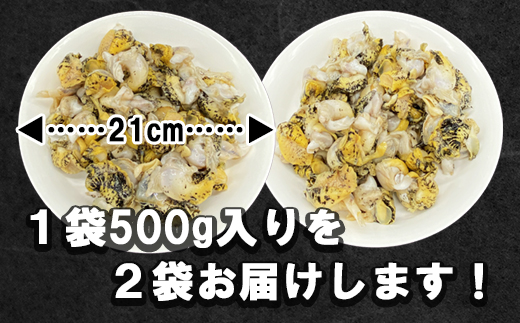 北海道鹿部町産 前浜ボイルつぶ１kg（500g×2袋） 刺身 不揃い つぶ ツブ ツブ貝 つぶ貝