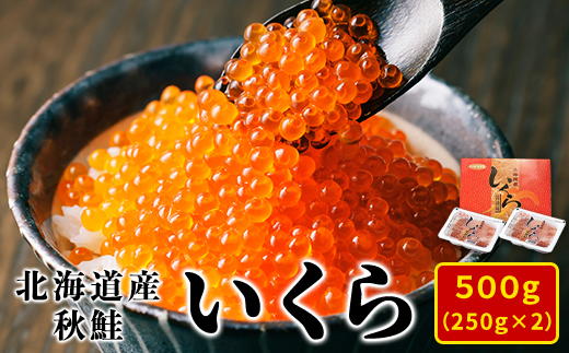 【2024年新物】北海道産いくら 500g（250g×2パック）小分け