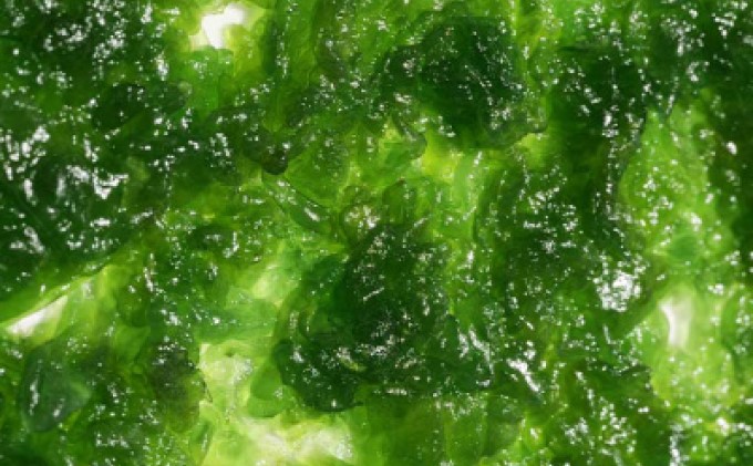 FABROU メンズ ボディソープ 300ml 美容 石けん 石鹸/液体せっけん 