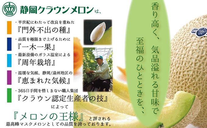 【偶数月6回定期便】クラウンメロン（白等級）1玉入 