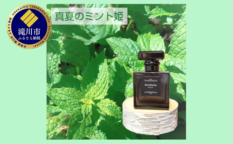 �y�k�C�����s�z�y�^�Ẵ~���g�P�z�A���}�t���O�����X40ml 1��