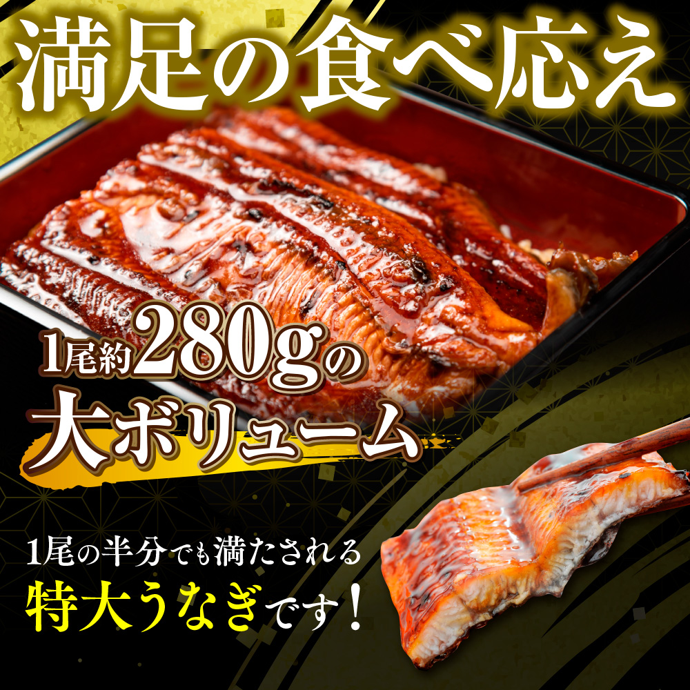 福岡県篠栗町のふるさと納税 うなぎの蒲焼４尾 タレ付き（3本）　YZ003