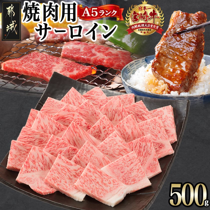 宮崎県都城市のふるさと納税 【A5】宮崎牛サーロイン焼肉用500g_AE-0106