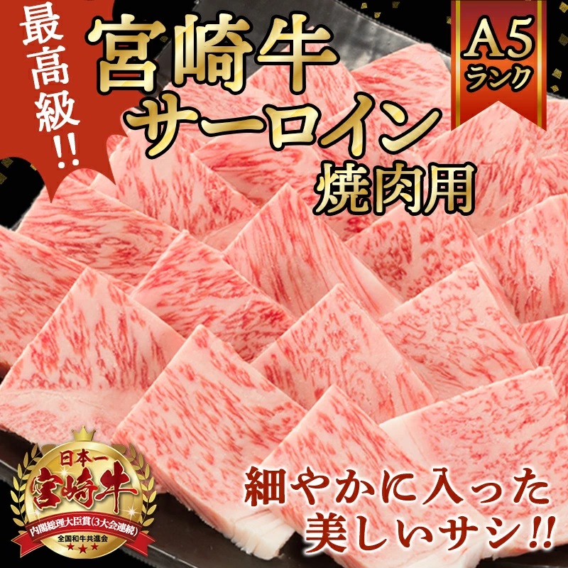 宮崎県都城市のふるさと納税 【A5】宮崎牛サーロイン焼肉用500g_AE-0106