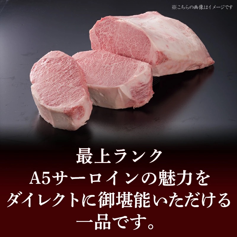 宮崎県都城市のふるさと納税 【A5】宮崎牛サーロイン焼肉用500g_AE-0106