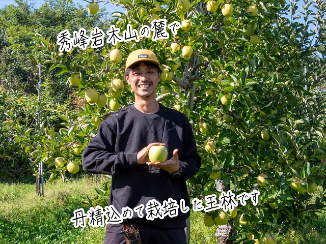 りんご 青森 サンふじ 王林 約 5kg (12～18玉) リンゴ 詰め合わせ セット 青森県 鰺ヶ沢町産 西樹園 フルーツ 果物 果物類 白神山地 林檎 サンフジ ふじ