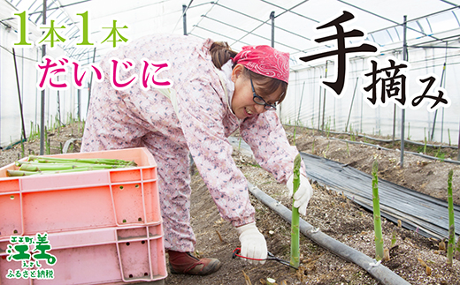 北海道江差町のふるさと納税 【夏芽 予約受付 6月中旬～順次出荷】2025年 北海道江差町産 アスパラガス【L～2Lサイズ】 2kg　約40本　太い！ 甘い！ ジューシー！　朝採り　農家直送　新鮮　鮮度保持　北海道　旬野菜　グリーンアスパラ　アスパラ　ギフト　贈答