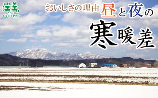 北海道江差町のふるさと納税 ＼春アスパラ 先行予約 2026年4月～順次出荷予定／北海道江差町産 アスパラガス【L～2Lサイズ】 2kg　約40本　太い！ 甘い！ ジューシー！　朝採り　農家直送　新鮮　鮮度保持　北海道　旬野菜　グリーンアスパラ　アスパラ　ギフト　贈答