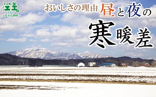 北海道江差町のふるさと納税 【夏芽 予約受付 6月中旬～順次出荷】2025年 北海道江差町産 アスパラガス【L～2Lサイズ】 2kg　約40本　太い！ 甘い！ ジューシー！　朝採り　農家直送　新鮮　鮮度保持　北海道　旬野菜　グリーンアスパラ　アスパラ　ギフト　贈答