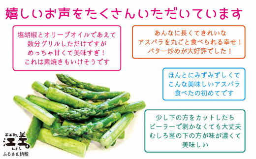 北海道江差町のふるさと納税 ＼春アスパラ 先行予約 2026年4月～順次出荷予定／北海道江差町産 アスパラガス【L～2Lサイズ】 2kg　約40本　太い！ 甘い！ ジューシー！　朝採り　農家直送　新鮮　鮮度保持　北海道　旬野菜　グリーンアスパラ　アスパラ　ギフト　贈答