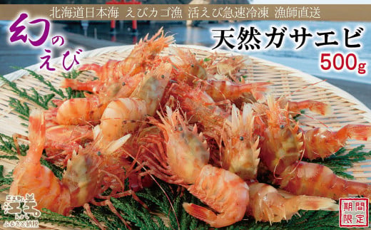 [早期予約・12月中旬以降 順次出荷予定]北海道産 「幻のえび」希少な天然ガサエビ 500g 引き締まった身肉と飽きのこない旨味 濃いエビの味が楽しめます! 国産 江差近海産 天然もの エビかご漁師直送 最良品厳選 生食可 お刺身 天ぷら エビフライ 海老