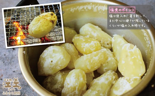 北海道江差町のふるさと納税 【早期予約 2026年2月より順次出荷】北海道産 越冬メークイン M・L混合 5kg　低温熟成　糖度アップ　訳あり　農家直送　越冬じゃがいも　越冬いも　よく寝たいも　甘い　芋の塩煮にぴったり　じゃがバター　いかの塩辛と一緒にどうぞ