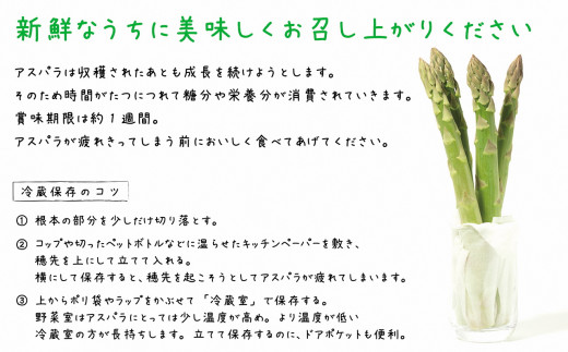 北海道江差町のふるさと納税 【春芽 順次発送中】2025年 北海道江差町産 「春」のアスパラ２色食べくらべセット 計1kg　ホワイトアスパラ 500g ＆ グリーンアスパラ 500g　L～2Lサイズ　朝採り　農家直送　みずみずしい　新鮮　アスパラガス