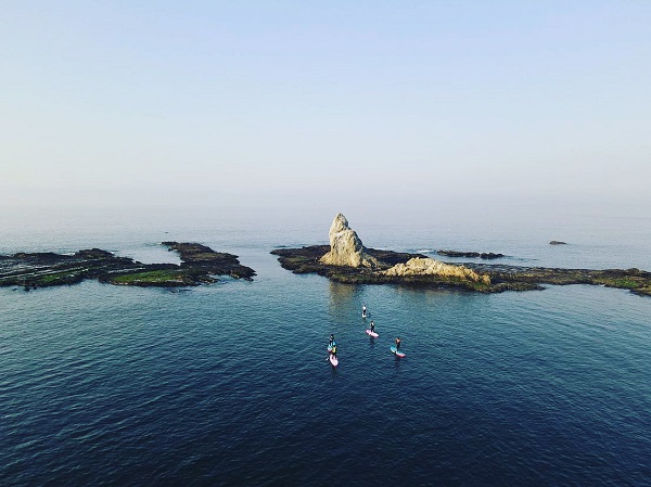 (5)海洋散骨セレモニー券（大切なご家族（ペット）とのお別れセレモニー） 海へ散骨 