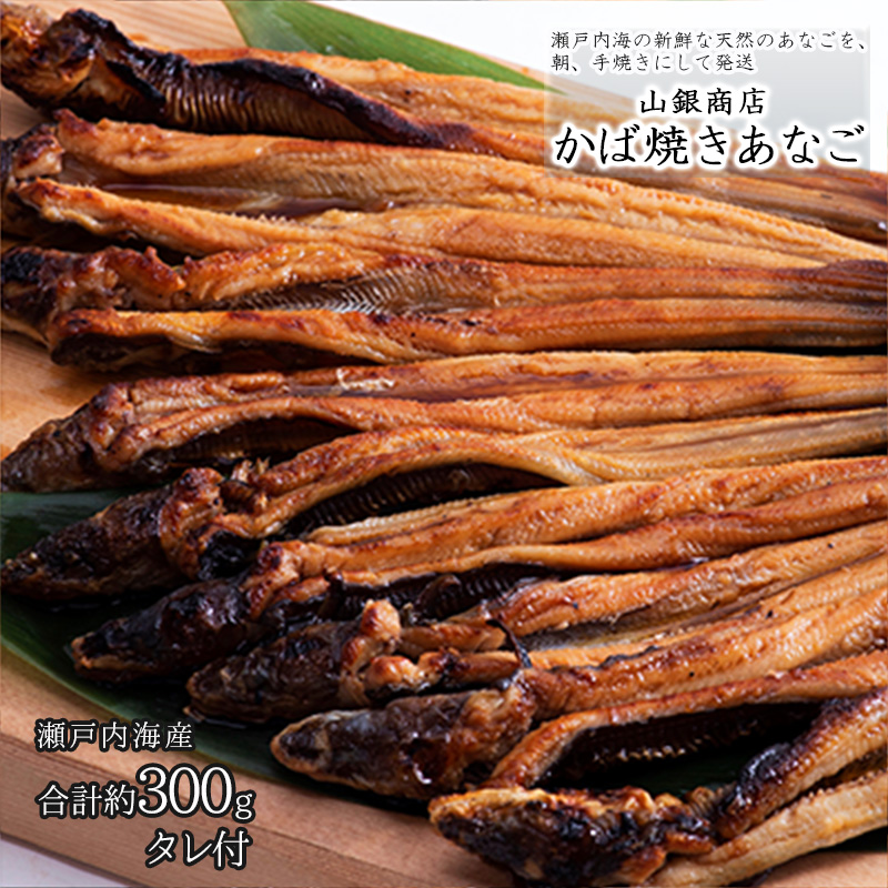 あなご 先行予約 山銀商店 かば焼き あなご (合計約300g)  産地直送 穴子 魚介類 アナゴ 