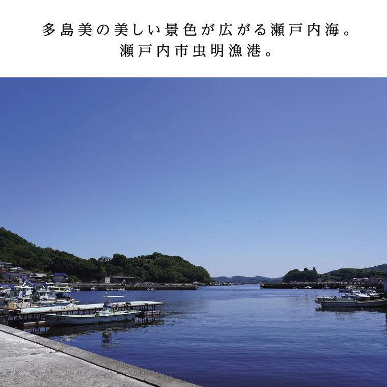 あなご 先行予約 山銀商店 かば焼き あなご (合計約300g)  産地直送 穴子 魚介類 アナゴ 
